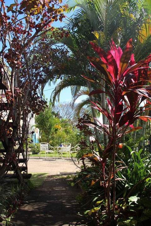 Asylum Cairns Hostel - Broome Tourism 0