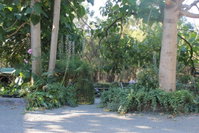 Book Macclesfield Accommodation Vacations Broome Tourism Broome Tourism