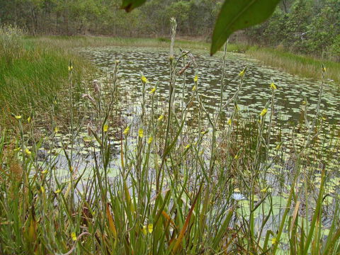 Back To The Bush - Broome Tourism 3