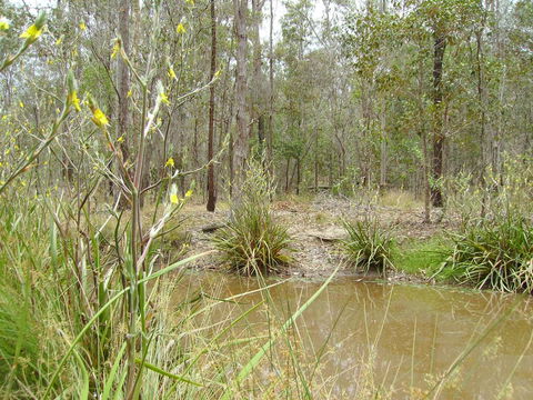 Back To The Bush - Broome Tourism 2