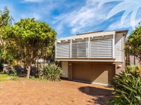 Banksia