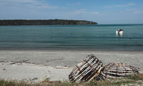 Rock Lobster - Broome Tourism 2