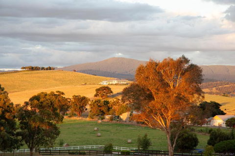 Rose Cottage Yarra Glen - Broome Tourism 1