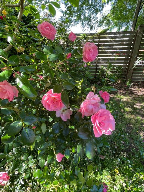 Rosehaven On Rosebud - Broome Tourism 1