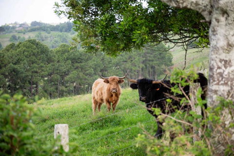 Rosewood Tiny Home By Tiny Away - Broome Tourism 2