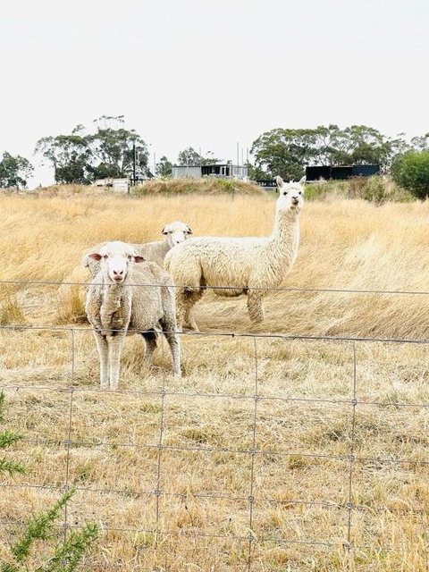 Ross Creek Farm Stay - Broome Tourism 0