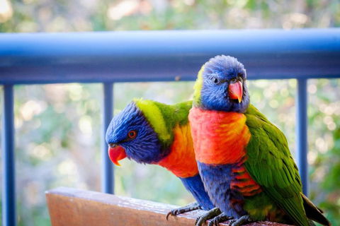 Sanctuary Lake Apartments - Broome Tourism 1