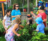 Book Lemon Tree Passage Accommodation Vacations Broome Tourism Broome Tourism