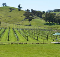 Blue House at Mountainside Wines - Broome Tourism