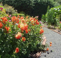 Boat Harbour Garden Cottages - Broome Tourism