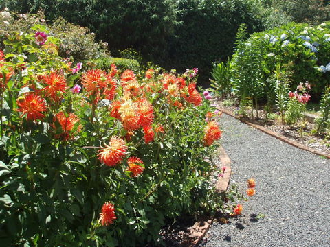 Boat Harbour Garden Cottages - Broome Tourism 0