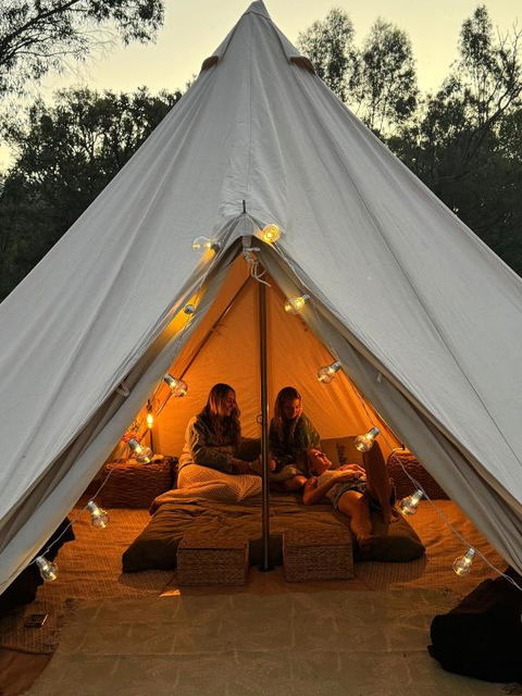 Wilderstay Glamping - Yanchep National Park - Broome Tourism 3