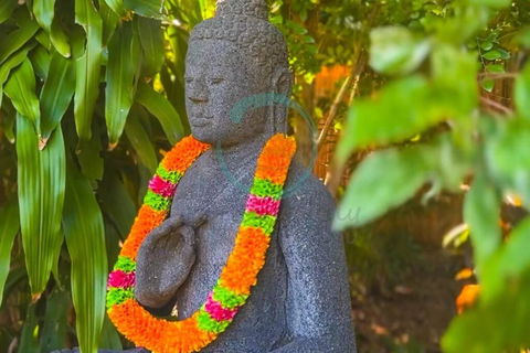 Zenhouse: 6-BR Balinese Tropical Oasis In Nightcliff Central - Broome Tourism 3