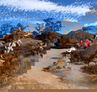 The Big Wave Rock Private Day Tour - Broome Tourism