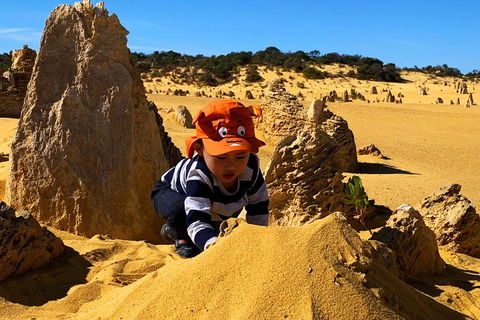 Perth Kids Explorer (Private) Day Tour - Broome Tourism 3