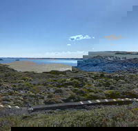 Penguin Island And Fremantle - Canoe Chocolate  Coffee - Broome Tourism