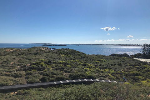 Penguin Island And Fremantle - Canoe, Chocolate & Coffee - Broome Tourism 0