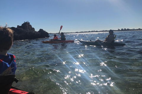 Penguin Island And Fremantle - Canoe, Chocolate & Coffee - Broome Tourism 1