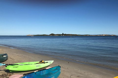 Penguin Island And Fremantle - Canoe, Chocolate & Coffee - Broome Tourism 2