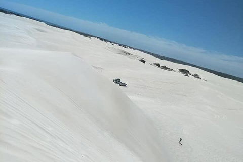Yanchep & Lancelin - Wildlife, Cave And Sands - Broome Tourism 3