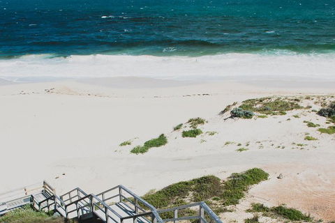 Yanchep & Lancelin - Wildlife, Cave And Sands - Broome Tourism 5