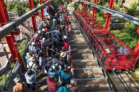 Private Guided Tour: Blue Mountains Tour From Sydney - Broome Tourism 1