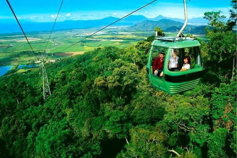 4-Day Cairns Ultimate Combo: Daintree Rainforest, Reef, Kuranda & Paronella Park - Broome Tourism 1