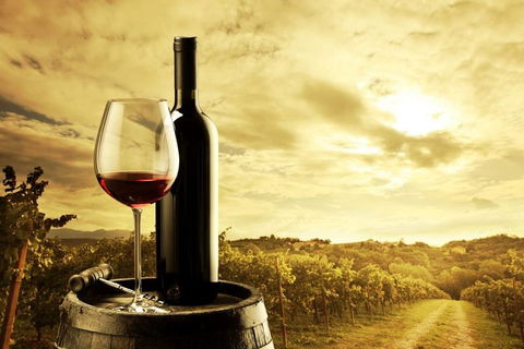 McLaren Vale Luxury Wine Tour - Broome Tourism 0