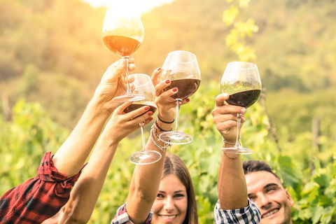 McLaren Vale Luxury Wine Tour - Broome Tourism 2