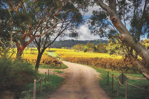 McLaren Vale Winery Small Group Tour With Wine Tasting And Lunch - Broome Tourism 1