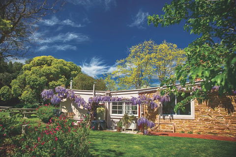 McLaren Vale Winery Small Group Tour With Wine Tasting And Lunch - Broome Tourism 2