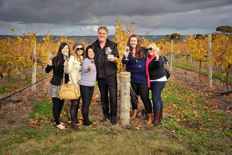 McLaren Vale Winery Small Group Tour With Wine Tasting And Lunch - Broome Tourism 3