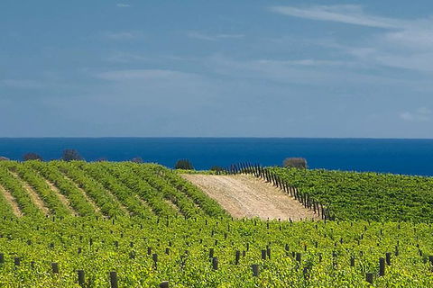 McLaren Vale Winery Small Group Tour With Wine Tasting And Lunch - Broome Tourism 4