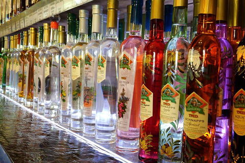Bar & Brewery Tour - Broome Tourism 4