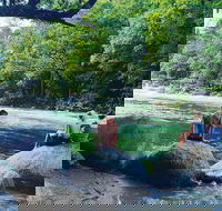 Afternoon Half-Day Daintree Rainforest and River Tour - Broome Tourism