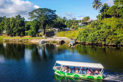 Afternoon Half-Day Daintree Rainforest And River Tour - Broome Tourism 1