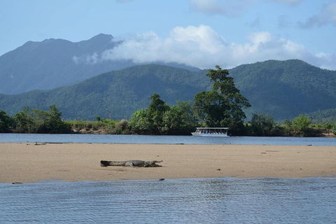 Afternoon Half-Day Daintree Rainforest And River Tour - Broome Tourism 2