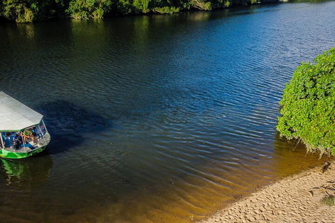 Afternoon Half-Day Daintree Rainforest And River Tour - Broome Tourism 3