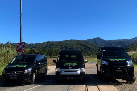 Afternoon Half-Day Daintree Rainforest And River Tour - Broome Tourism 4