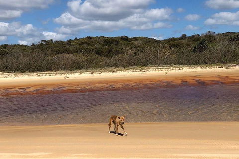 Pippies 3 Days 2 Nights Fraser Island Tour - Broome Tourism 2
