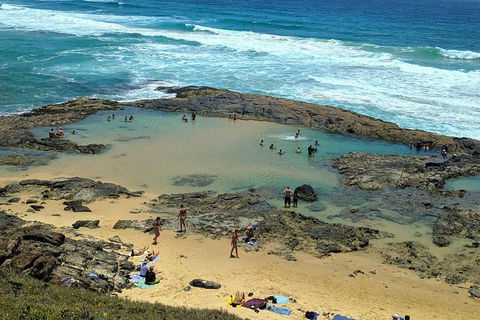 Pippies 3 Days 2 Nights Fraser Island Tour - Broome Tourism 5