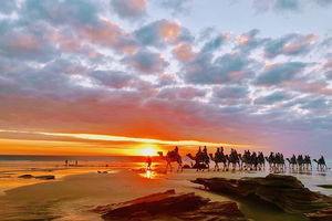 1 Hour Broome Sunset Camel Tour