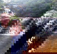 Private Blue Mountains Day Tour including Wildlife Park - Broome Tourism