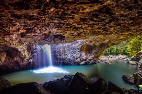 Full-day Springbrook National Park Tour From The Gold Coast - Broome Tourism 3