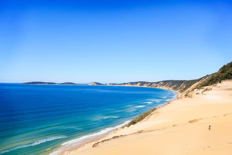 Kayak With Dolphins And 4WD Great Beach Drive Day Trip From Noosa - Broome Tourism 0