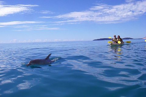 Kayak With Dolphins And 4WD Great Beach Drive Day Trip From Noosa - Broome Tourism 2