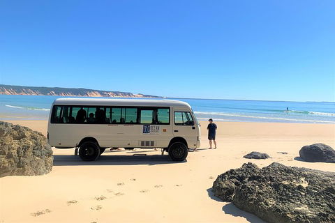 Kayak With Dolphins And 4WD Great Beach Drive Day Trip From Noosa - Broome Tourism 4