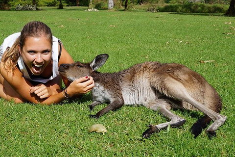 7-Day Tour In Sydney With Airport Pickup - Broome Tourism 4