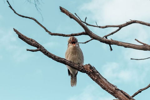 Highlights Of Kings Park - Broome Tourism 0