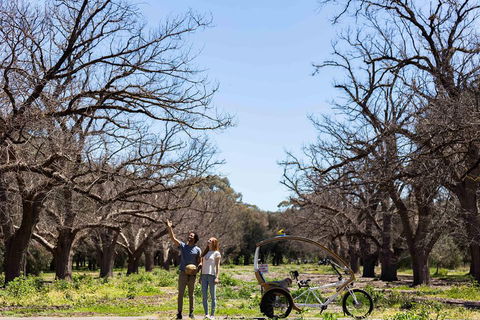 Adelaide 90-Minute Pedicab Tour: Scenic Green & River Experience - Broome Tourism 1